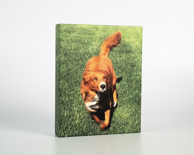 Canvas - 8"x10"x1.5" 