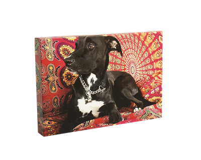 Custom Canvas Prints